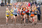 Womens under-20s 2018 British Inter Counties Cross Country Champs., Prestwold Hall, Loughborough. Photo: David T. Hewitson/Sports for All Pics